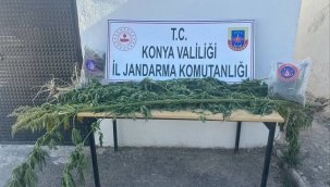 Konya'da Jandarma'dan uyuşturucu operasyonu! 