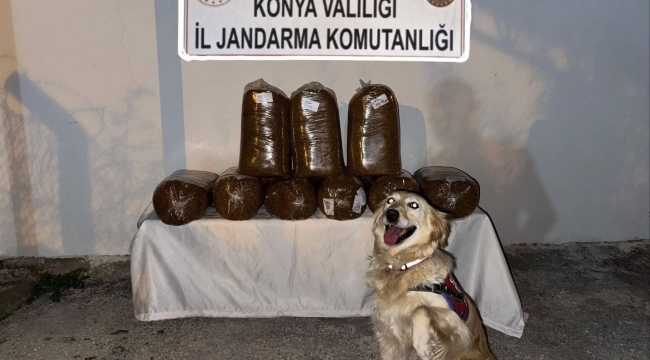 Konya Jandarma'dan kaçak tütün ve sigara operasyonu 