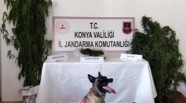 Konya'nın 5 ilçesinde Jandarmadan uyuşturucu operasyonu 