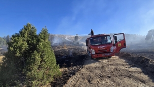 Yunak Bayatkulu Dağı'ndaki Orman Yangını Büyümeden Söndürüldü 