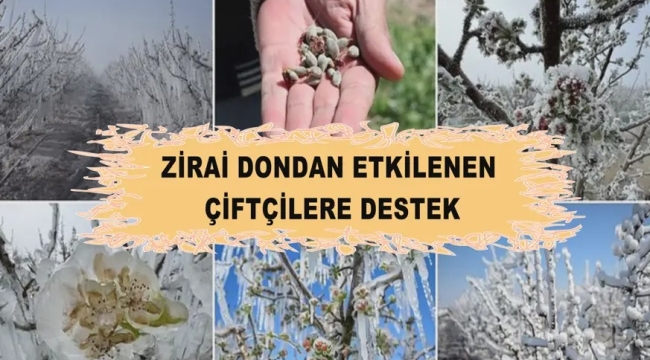 Zirai Dondan Zarar Gören Çiftçilere Destekleme Ödemesi Yapılacak 