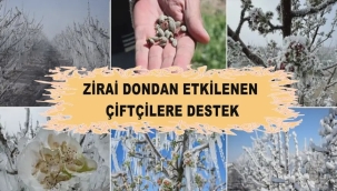 Zirai Dondan Zarar Gören Çiftçilere Destekleme Ödemesi Yapılacak 