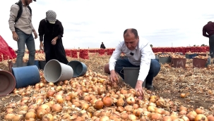 Başkan Aydın, Hasat Zamanında Çiftçilerle Buluştu 
