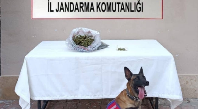 Konya'da Jandarmadan iki farklı ilçede zehir tacirlerine operasyon 