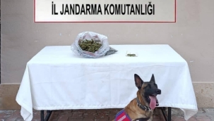 Konya'da Jandarmadan iki farklı ilçede zehir tacirlerine operasyon 