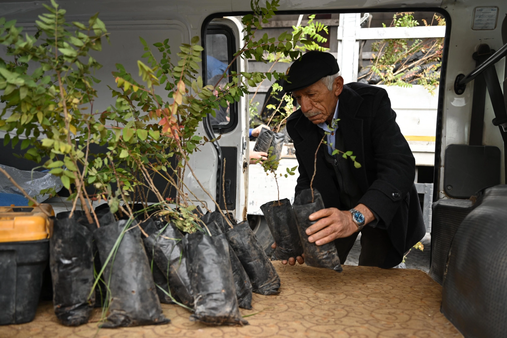 Konya'da 6 bin 370 sumak fidanı çiftçilere ulaştı