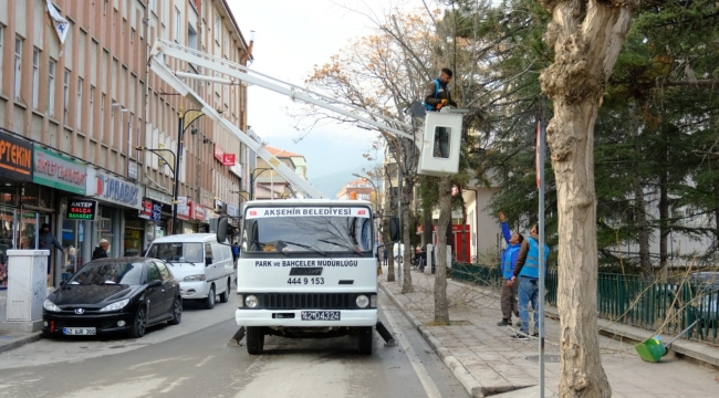 Akşehir Belediyesi Mevsimsel Budama Çalışmalarına Başladı 