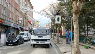 Akşehir Belediyesi Mevsimsel Budama Çalışmalarına Başladı 