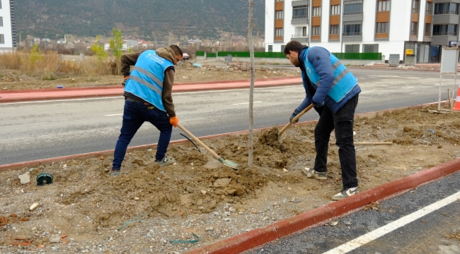 PARK VE BAHÇELER MÜDÜRLÜĞÜ EKİM-DİKİM ÇALIŞMALARINA BAŞLADI! 