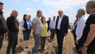 BAŞKAN ERKOYUNCU PATATES EKİMİNE KATILDI: BAĞIMLILIK BİTİYOR, KAPASİTE ARTIYOR! 