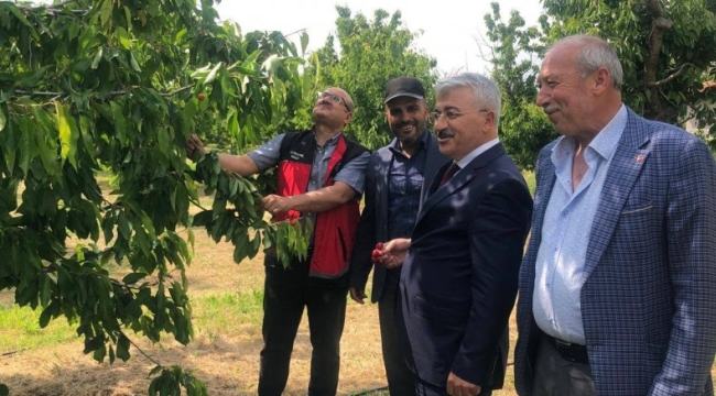 AKŞEHİR KİRAZI İÇİN SAHADA ORTAK MESAİ: ÜRETİCİLERİN SORUNLARI YERİNDE DİNLENDİ