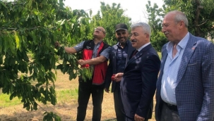 AKŞEHİR KİRAZI İÇİN SAHADA ORTAK MESAİ: ÜRETİCİLERİN SORUNLARI YERİNDE DİNLENDİ 