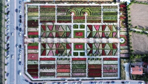 KARATAY'DA 190 ÇEŞİT GÜL GÖRSEL ŞÖLEN SUNUYOR 