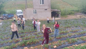Minikler Doğayı Yerinde Öğrendi 