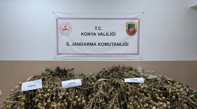 Konya'da Uyuşturucu Operasyonu: 5 Tutuklama, Binlerce Kök Kenevir Ele Geçirildi! 
