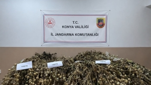 Konya'da Uyuşturucu Operasyonu: 5 Tutuklama, Binlerce Kök Kenevir Ele Geçirildi! 