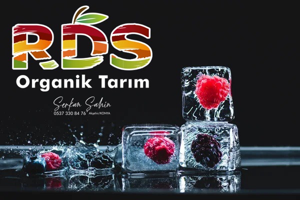 Reklam